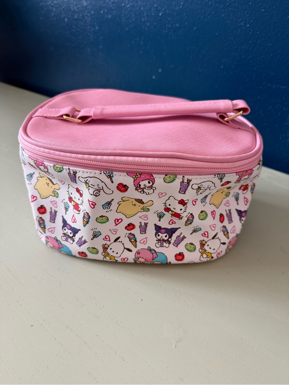 2024 Sanrio Hello Kitty Pink Cosmetic Makeup Travel Bag Case Pouch Zippered EUC